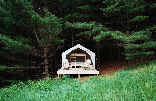 Palmerton RV Rental | Tentrr Signature Site - Forest Hideaway