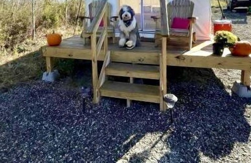 Thompson Ridge RV Rental | Tentrr Signature Site - Tranquility on the Farm: Riverview