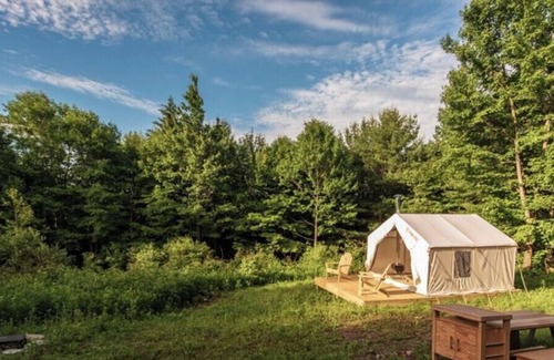 Stamford RV Rental | Tentrr Signature Site - SummerHaven Camp