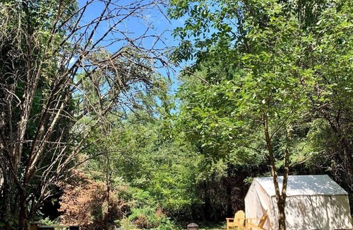Winston - Salem RV Rental | Tentrr Signature Site - Fairytale Farm Sanctuary Campsite