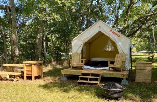 Texas Gulf Coast Region Other | Tentrr State Park Site - Texas Brazos Bend State Park - Trailside B - Single Camp