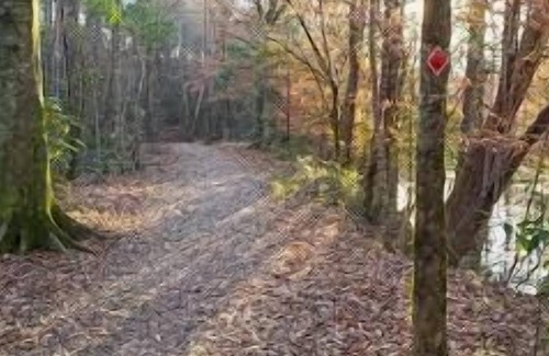 Talisheek RV Rental | Tentrr State Park Site - Louisiana Bogue Chitto State Park - Bonner Creek M - Si