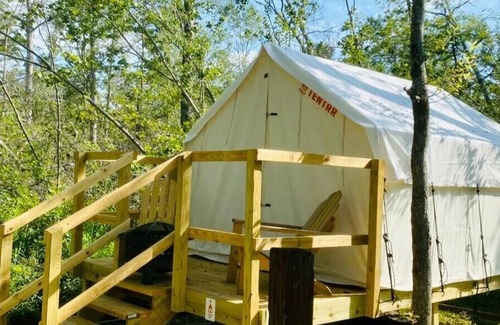 Springfield RV Rental | Tentrr State Park Site - Louisiana Tickfaw State Park - Woodland C - Single Camp