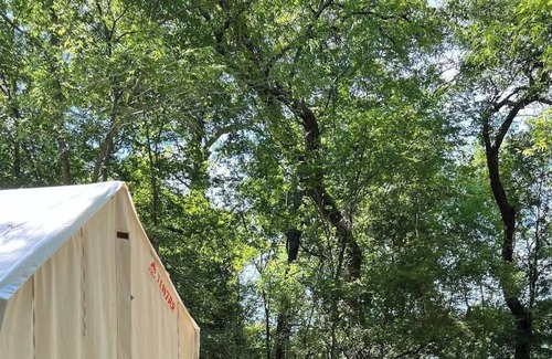 Texas Gulf Coast Region RV Rental | Tentrr State Park Site - Texas Brazos Bend State Park - Trailside C - Single Cam