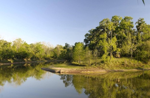 Texas Gulf Coast Region RV Rental | Tentrr State Park Site - Texas Brazos Bend State Park - Trailside F – Single C