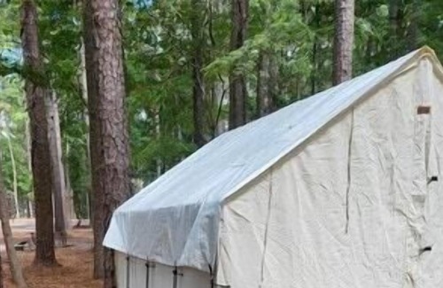 Zwolle RV Rental | Tentrr State Park Site - Louisiana North Toledo Bend State Park - Forest Glade F