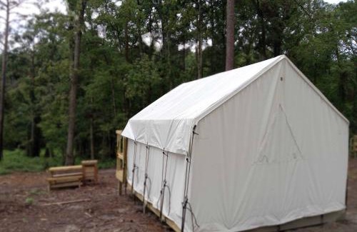 Zwolle Other | Tentrr State Park Site - Louisiana North Toledo Bend State Park - Forest Glade E - Single Camp