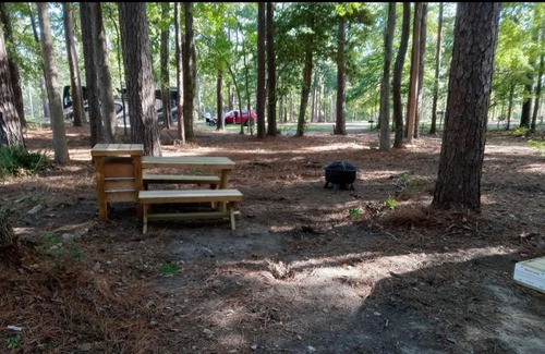 Zwolle Other | Tentrr State Park Site - Louisiana North Toledo Bend State Park - Forest Glade H - Single Camp