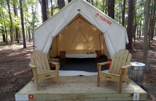 Zwolle Other | Tentrr State Park Site - Louisiana North Toledo Bend State Park - Forest Glade H - Single Camp