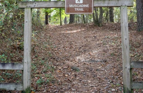 Morton RV Rental | Tentrr State Park Site - Mississippi Roosevelt State Park - Tall Trees D - Sing