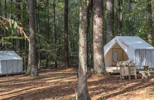 Morton RV Rental | Tentrr State Park Site - Mississippi Roosevelt State Park - Tall Trees C - Singl