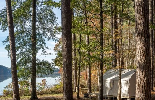 Morton RV Rental | Tentrr State Park Site - Mississippi Roosevelt State Park - Shadow Lake E - Sing