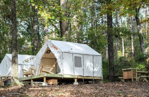 Morton RV Rental | Tentrr State Park Site - Mississippi Roosevelt State Park - Tall Trees H - Singl