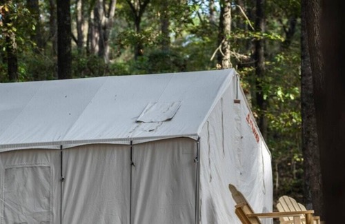 Morton RV Rental | Tentrr State Park Site - Mississippi Roosevelt State Park - Tall Trees B - Sing