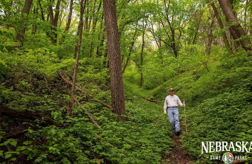Burbank RV Rental | Tentrr State Park Site - Nebraska Ponca State Park – Riverview A – Single Camp