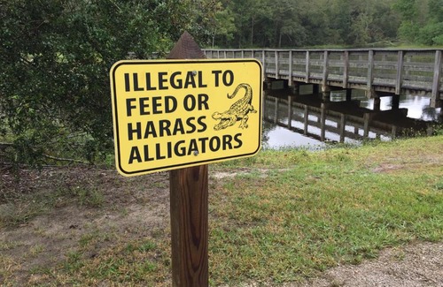 Mandeville Other | Tentrr State Park Site - Fontainebleau State Park Site C