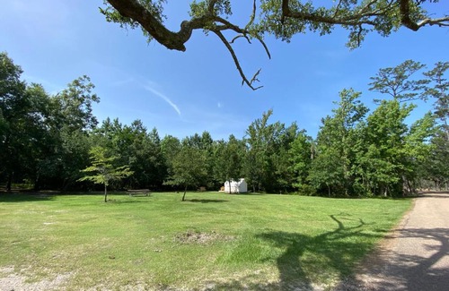 Mandeville Other | Tentrr State Park Site - Louisiana Fontainebleau State Park - Woodland L - Single Site
