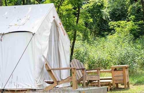 Mathias RV Rental | Tentrr State Park Site - WV Lost River State Park - Wooded Wilderness A - Single