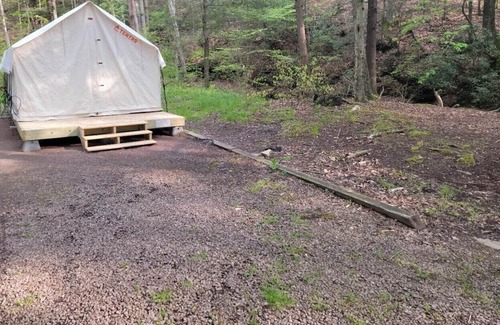 Swanton RV Rental | Tentrr State Park Site - Big Run State Park - Site A