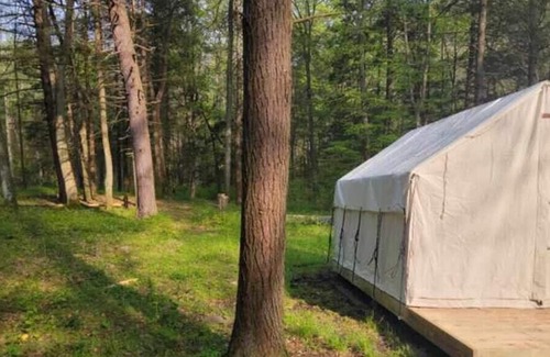 Swanton RV Rental | Tentrr State Park Site - Big Run State Park - Site D