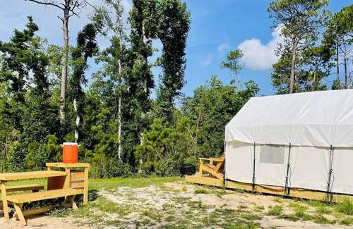 Lake Charles RV Rental | Tentrr State Park Site - Louisiana Sam Houston Jones State Park - Woodland I Sin