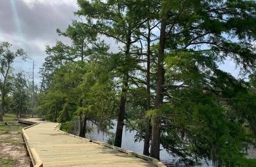 Lake Charles RV Rental | Tentrr State Park Site - Louisiana Sam Houston Jones State Park - Woodland I Sin