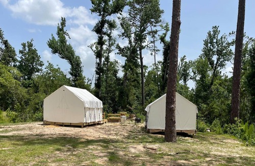 Lake Charles RV Rental | Tentrr State Park Site - Louisiana Sam Houston Jones State Park - Woodland J Dou