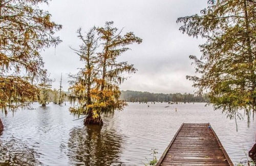 Saint Landry RV Rental | Tentrr State Park Site - Louisiana Chicot State Park - Site C - Double Camp