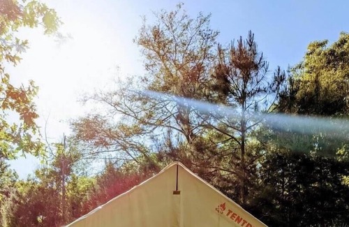 Saint Landry RV Rental | Tentrr State Park Site - Louisiana Chicot State Park - Site D - Single Camp