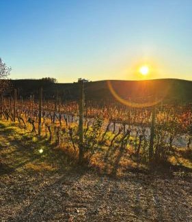 San Damiano dʼAsti House | Tenuta Agricola La Cava- Cantina e Agriturismo