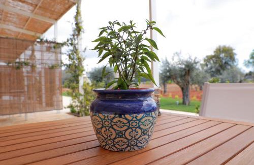 Alessano House | Tenuta Cesarina