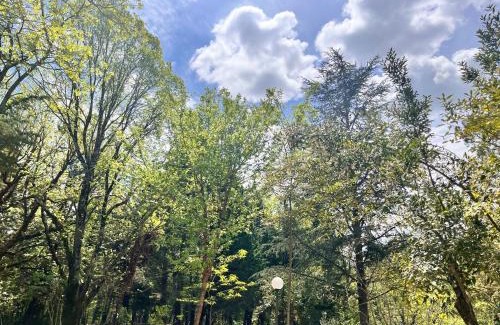 Vinchiaturo Villa | Tenuta Dafne