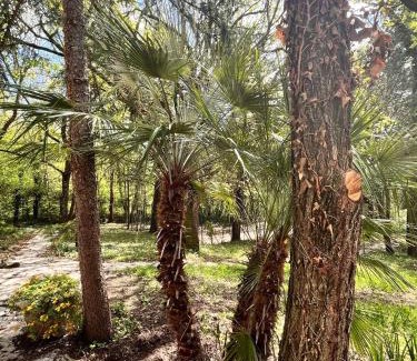 Vinchiaturo Villa | Tenuta Dafne