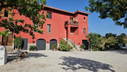 Montecorvino Rovella House | Tenuta degli Ulivi - Dimora Contadina