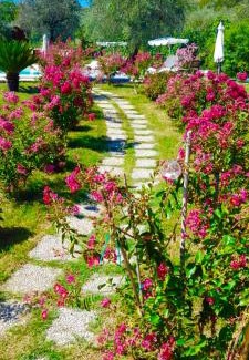 Salisano House | Tenuta del Casale del Jazz - Jazz Emotional Experience - Rooms & Camping in the Countryside