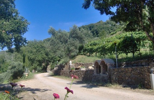 Nocera Terinese House | Tenuta Mauri - Agriturismo Vota