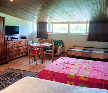Povoletto Apartment | Tenuta PARAVANO