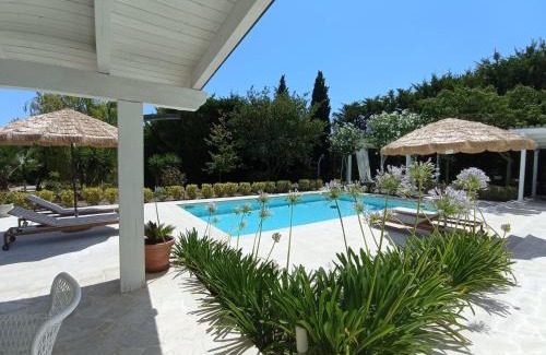 San Martino in Pensilis House | Tenuta viale degli ulivi
