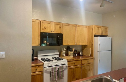 Crested Butte Apartment | Teocalli Flat 1: Two Splitable King Beds and Sleeper Sofa, Sleeps 6