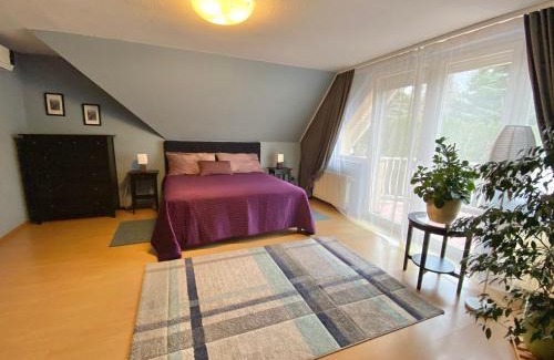 Csomor House | Teresa Guest House