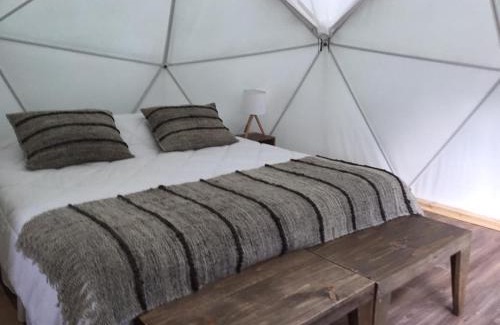 Puyehue Cabin | Termas de Aguas Calientes