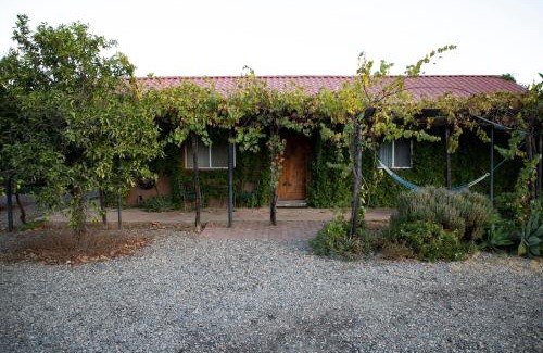 Valle de Guadalupe Bed & Breakfast | Terra del Valle Bed & Breakfast