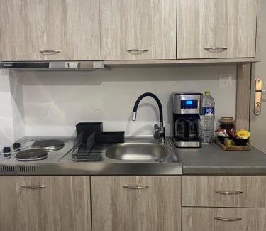 Chios Apartment | TERRA HOMERICA