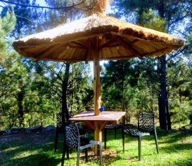 Alta Gracia House | Terra Nostra