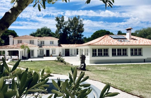 Santo Estevao House | Terra Quinta
