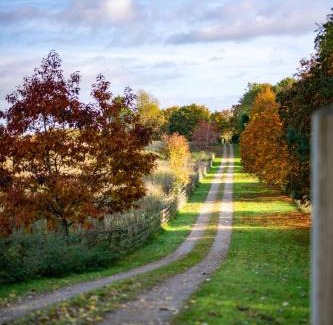 North Stainley House | Terrace Barn