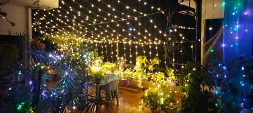 Hatigaon Ski Chalet | Terrace Cottage Garden Homestay at Guwahati