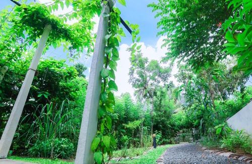 Welipitiya Resort | Terrace Garden Ayurveda Resort