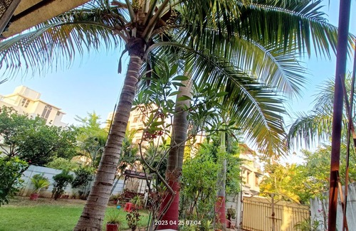 Vadodara House | Terrace Garden Bedroom First Floor 5 Minutes from Hotel Hayatt Place