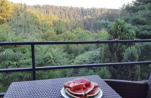 Rabatejn nad Strelou House | Terrace with gorgeous panorama in historic Rabstejn